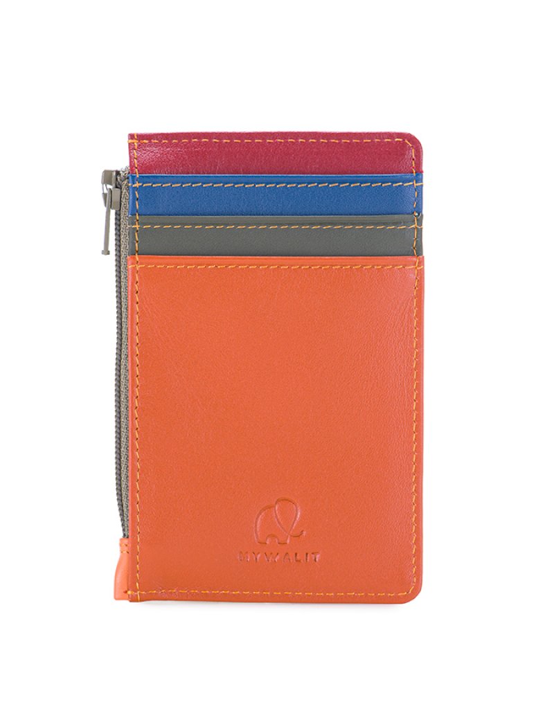 CREDIT CARD HOLDER WCOIN